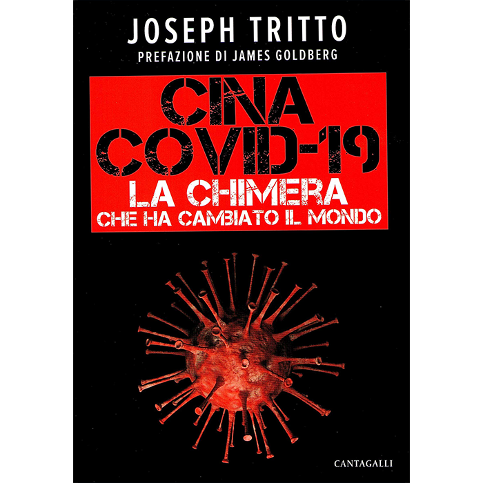 Cina Covid-19 La chimera che ha cambiato il mondo